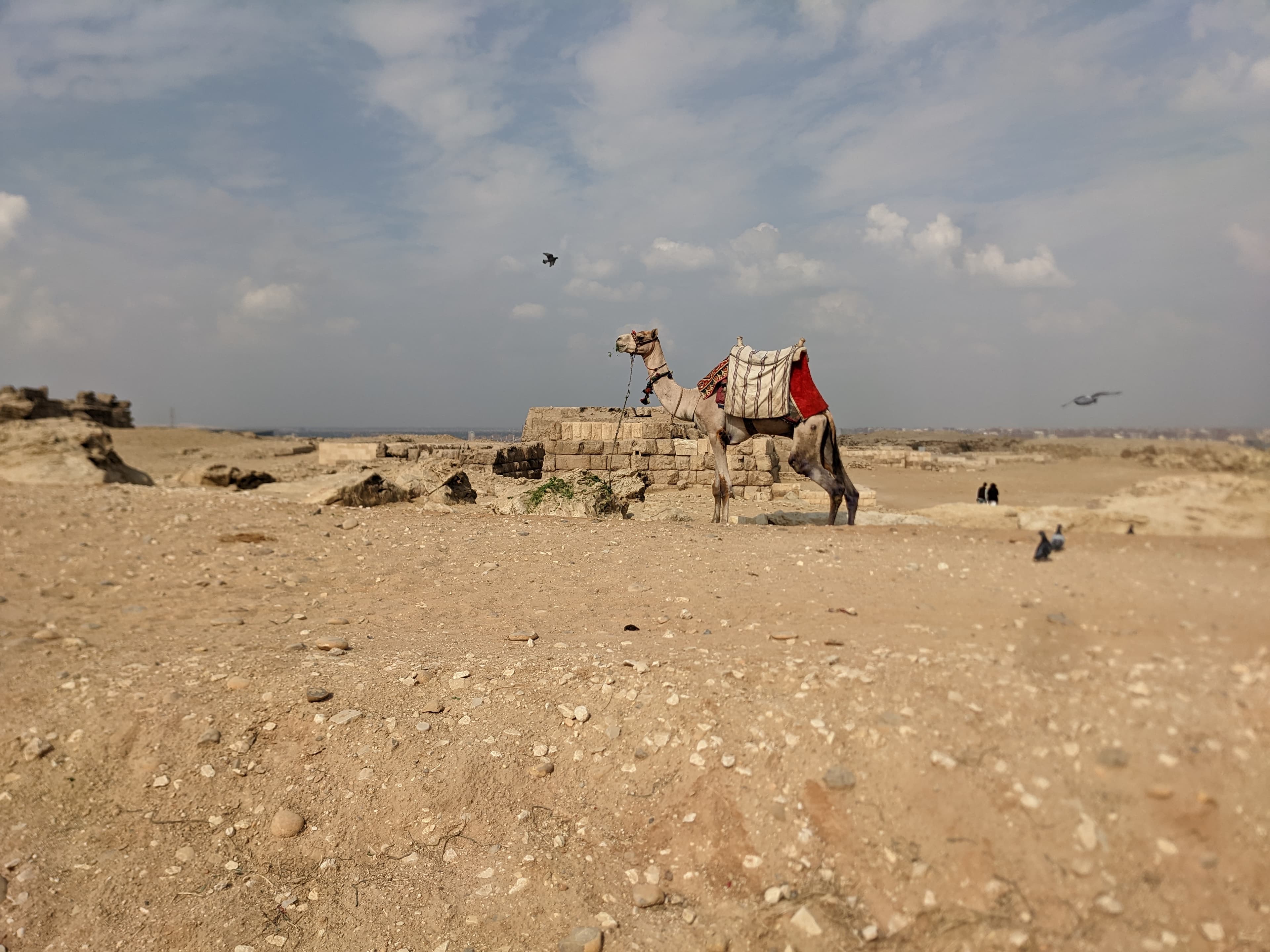 Beyond the pyramids