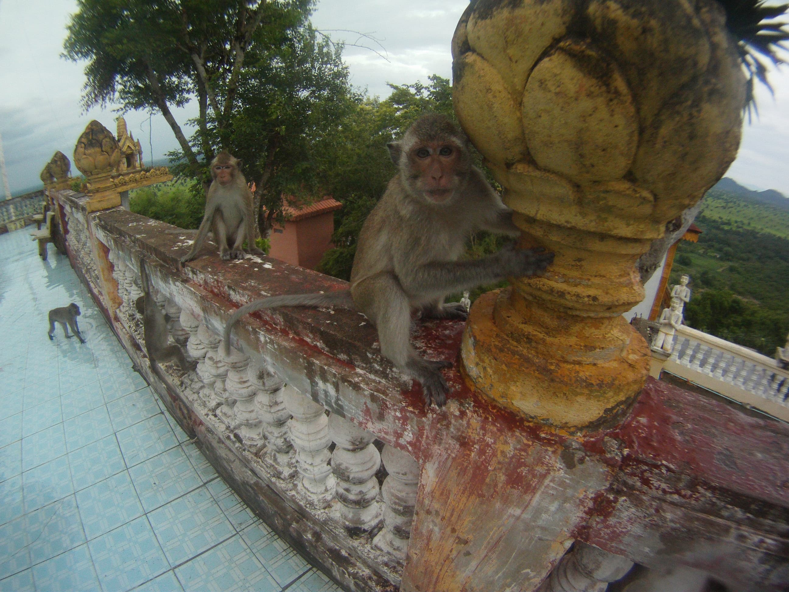 BattamBANG and dinner is served
