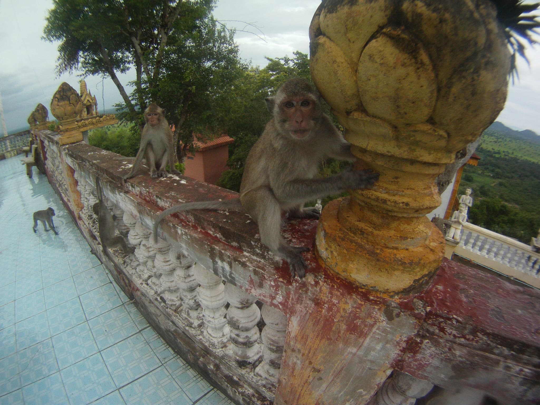BattamBANG and dinner is served